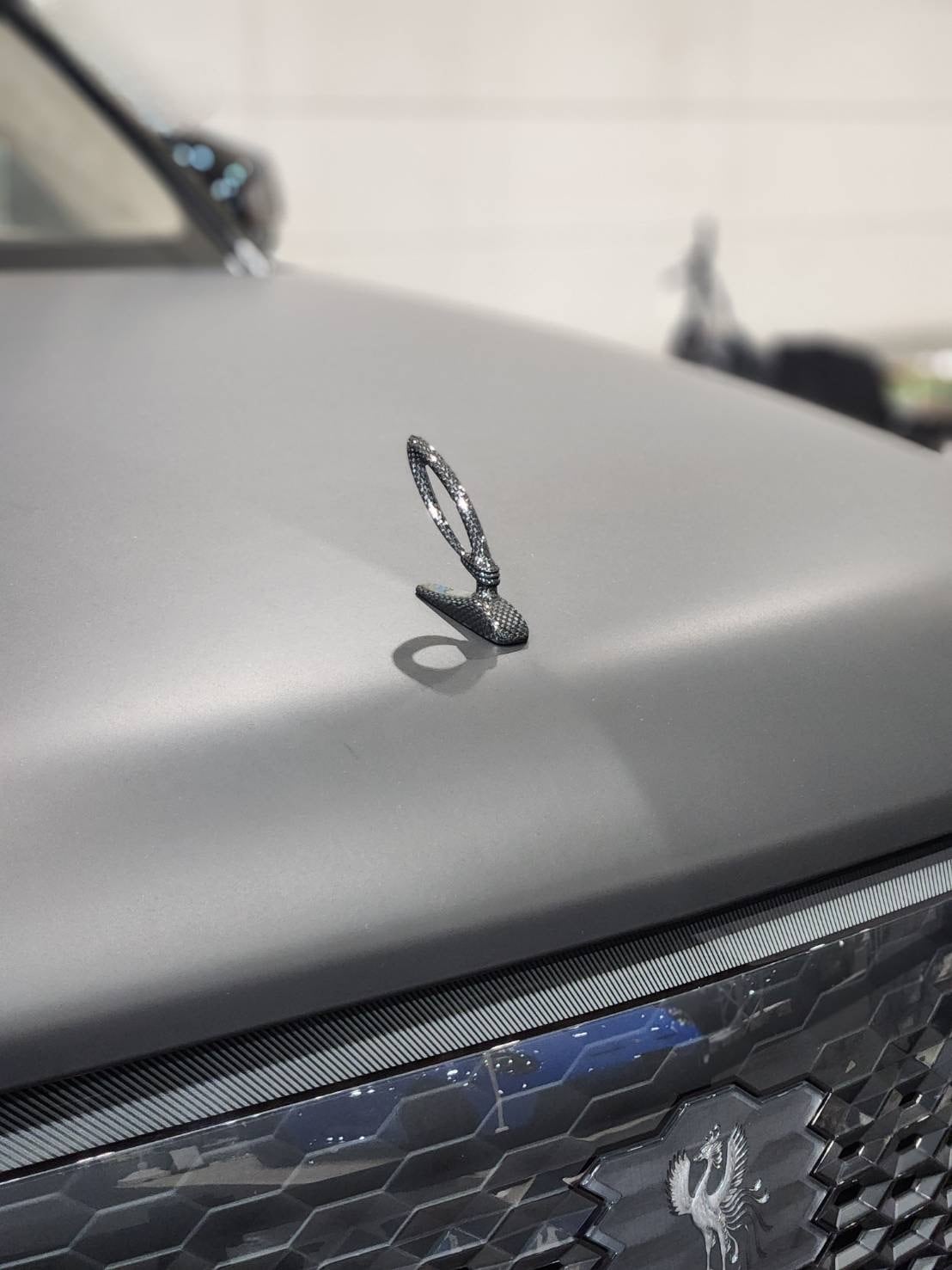 Ultra-Lightweight! object Dry Carbon Bonnet Mascot Junction Produce — image 2