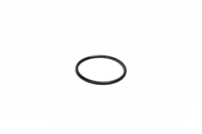 REPLACEMENT 22MM O-RING FOR GREDDY M18XP1.5 O-RING O/C AN FITTING - (12401101) — image 1