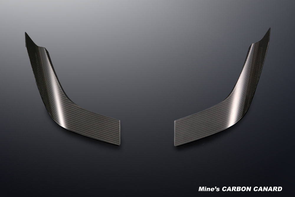 Carbon Canards — image 1