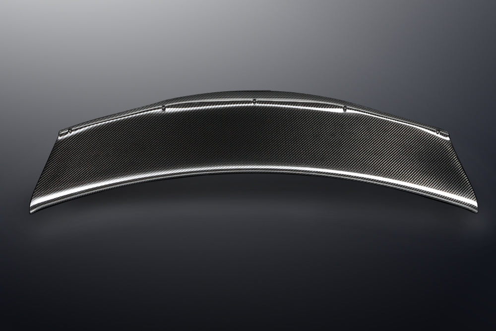 Carbon Rear Wing Cover — image 1